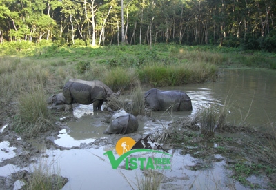 Chitwan Jungle Safari 5 Days