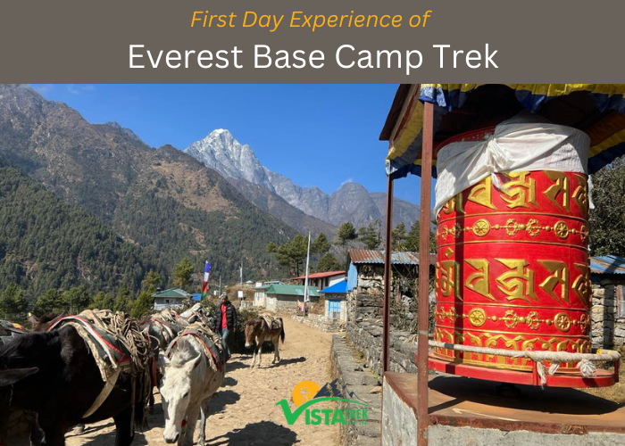First Day highlights of Everest base camp trek