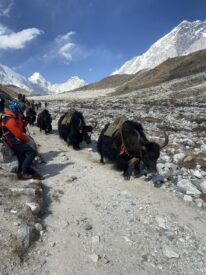 Everest Base Camp Trek